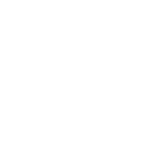 Distant Illusions logo
